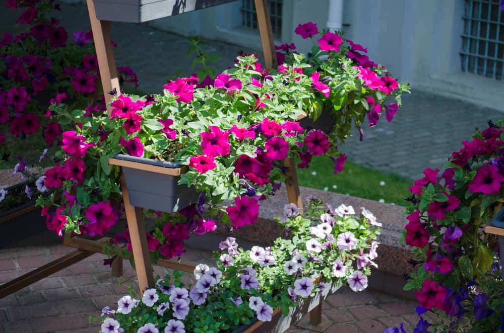 vertical flower garden planter boxes