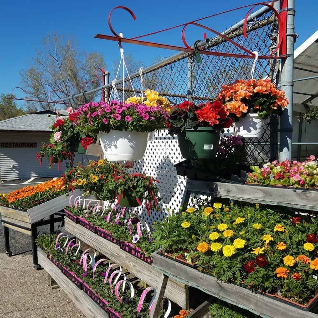 vertical flower garden planters hanging plants