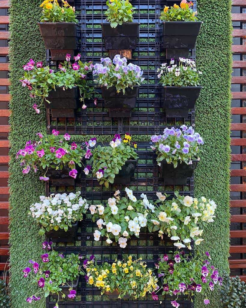 vertical flower garden black pot plants