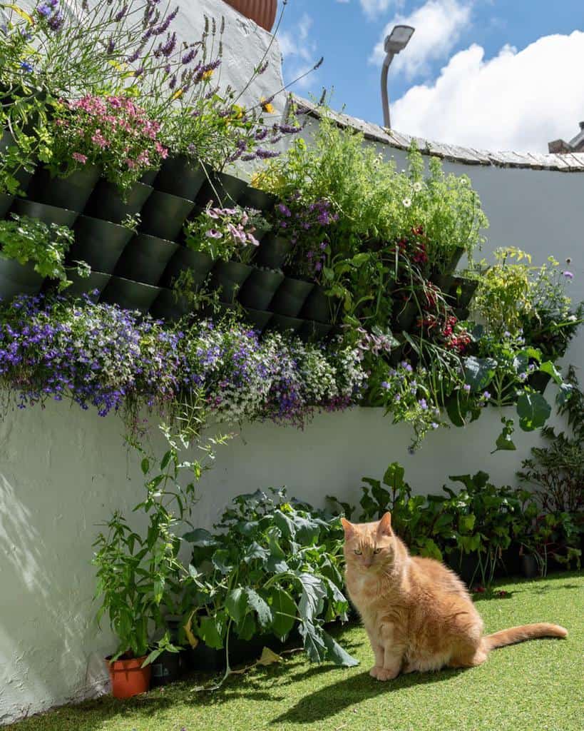 vertical flower garden pot plnats cat