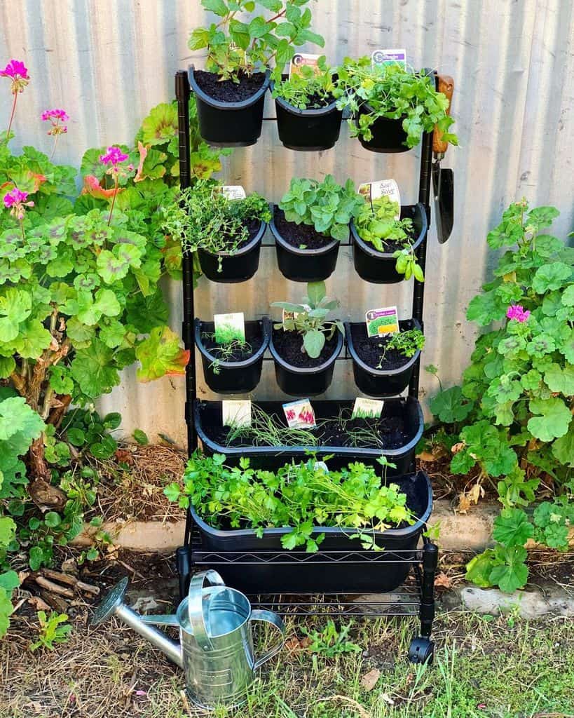 vertical herb garden