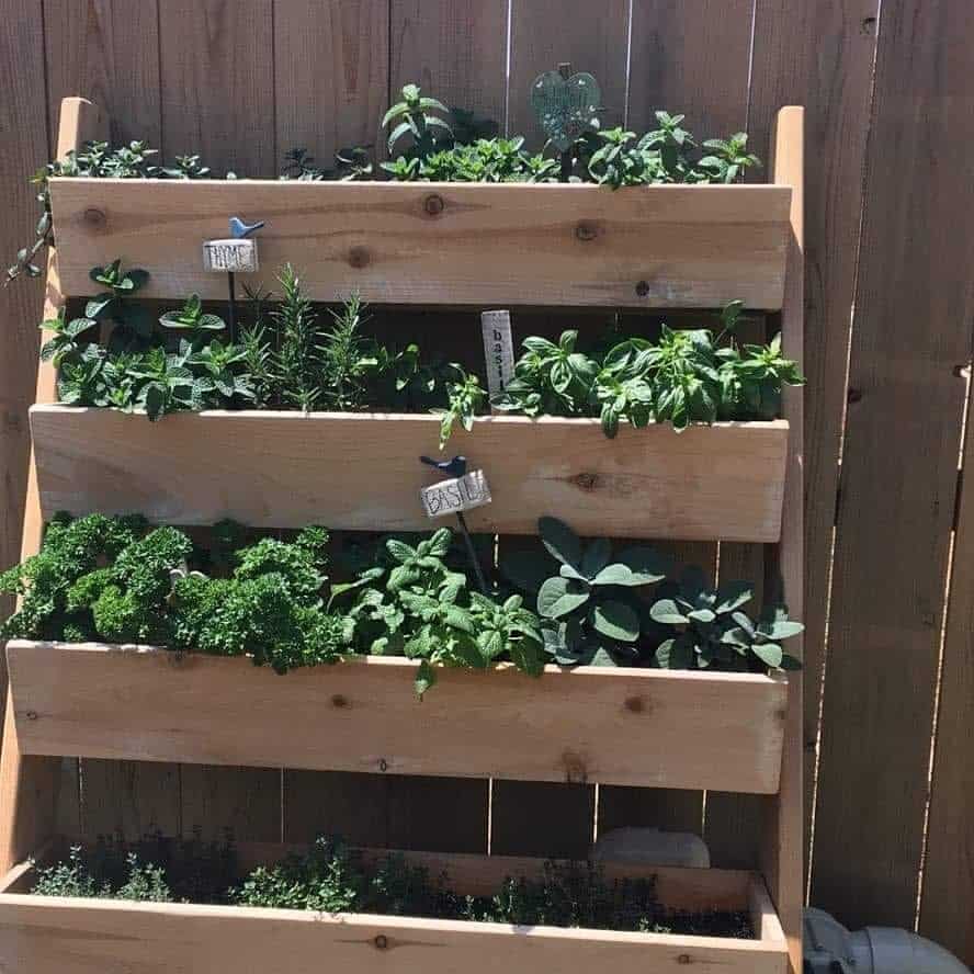 vertical wood planter herb garden