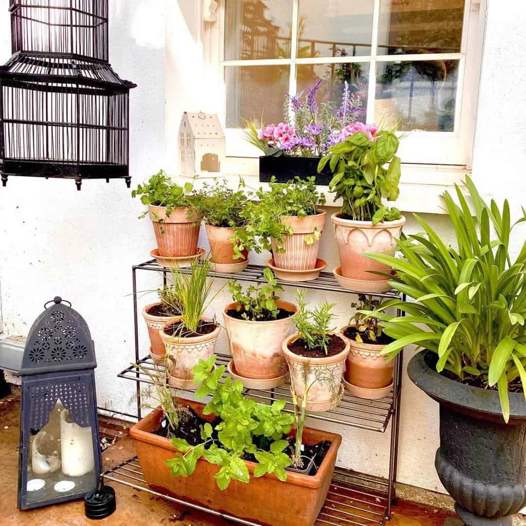 vertical terracota herb garden