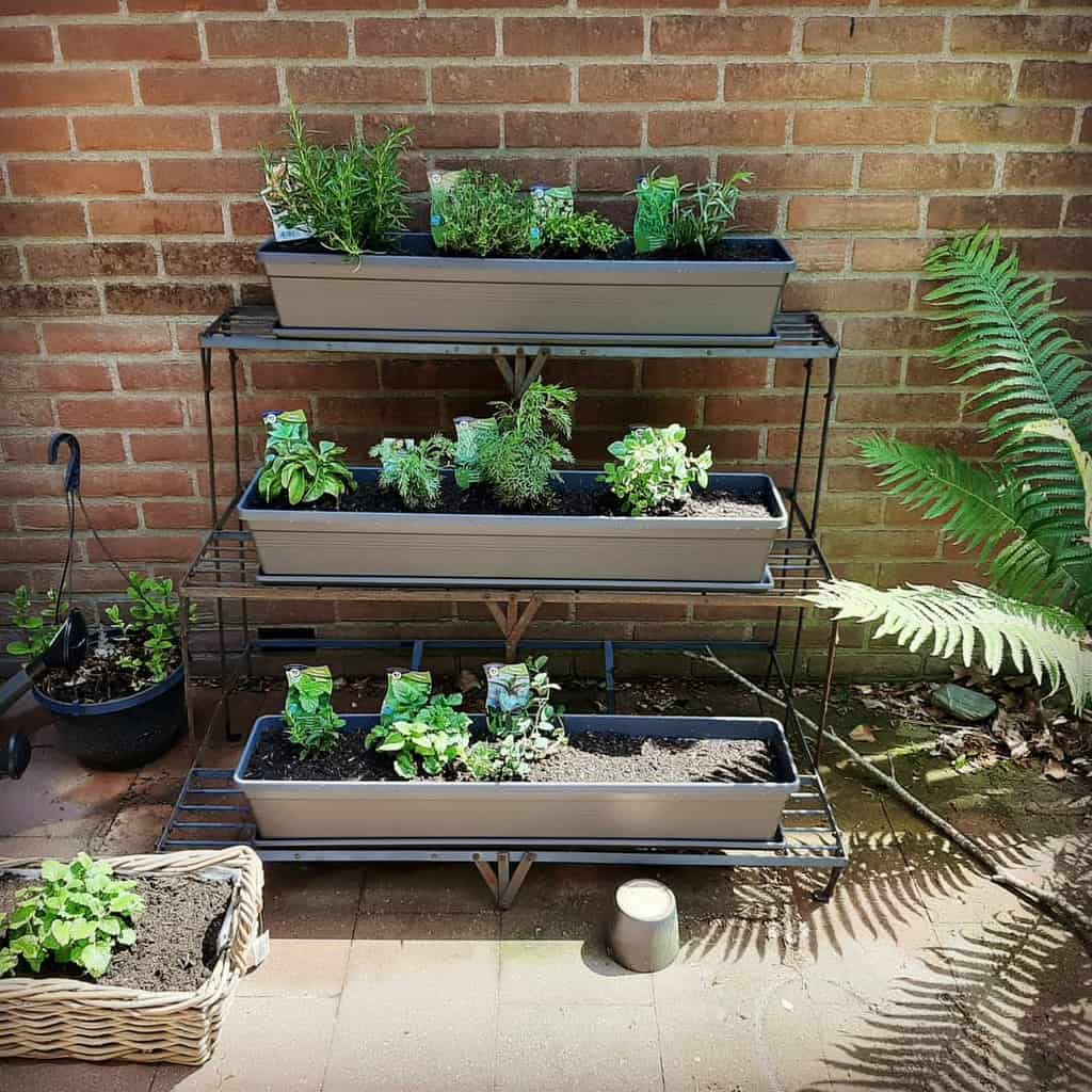 vertical planter box herb garden