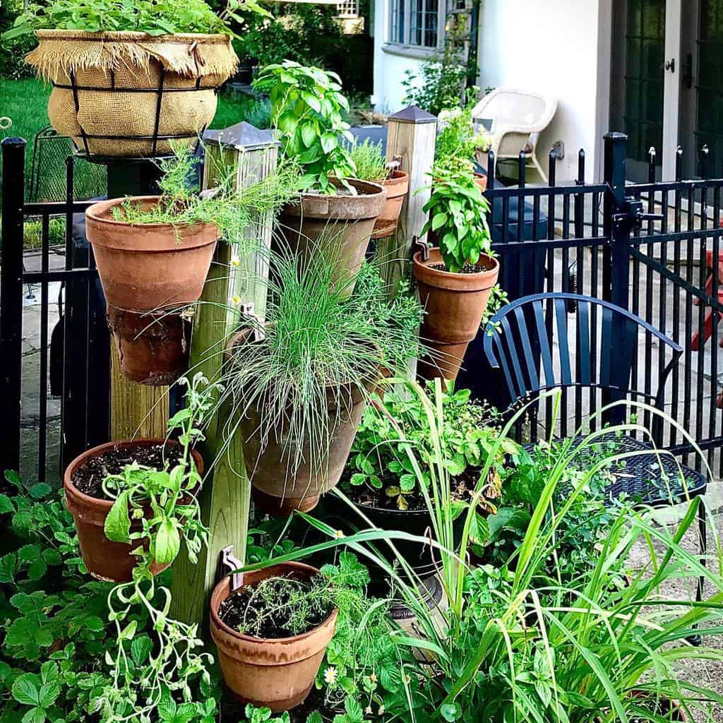 vertical pot plant herb garden