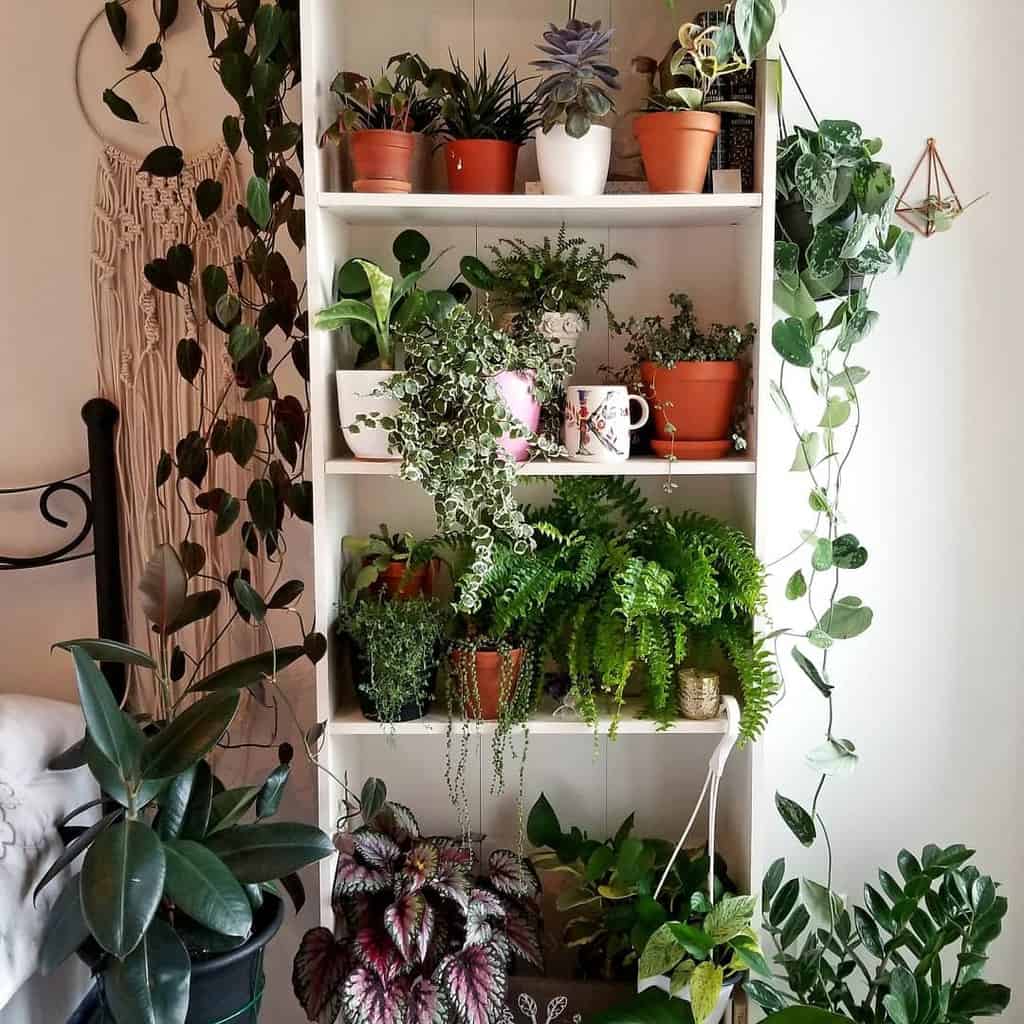 vertical indoor garden old shelf unit 