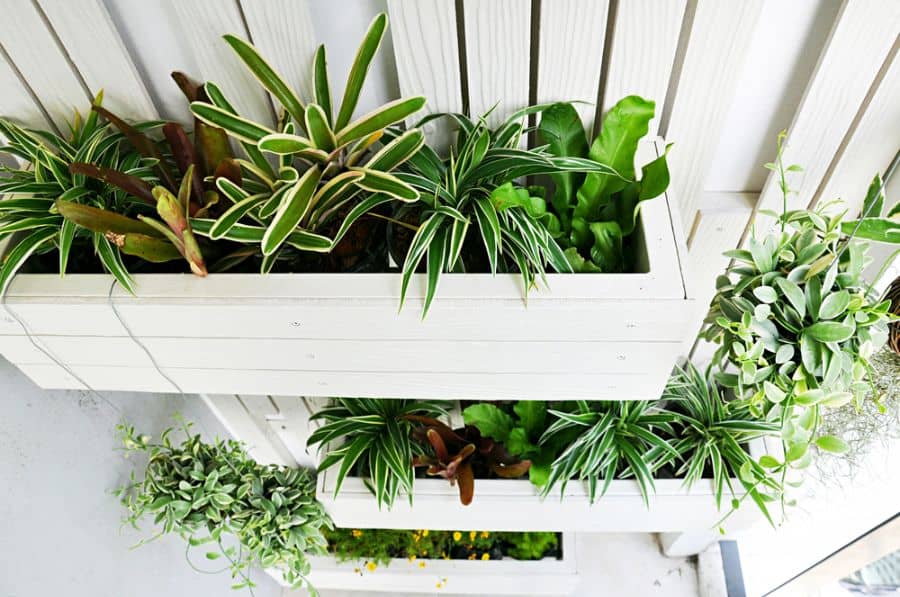 vertical white planter box garden