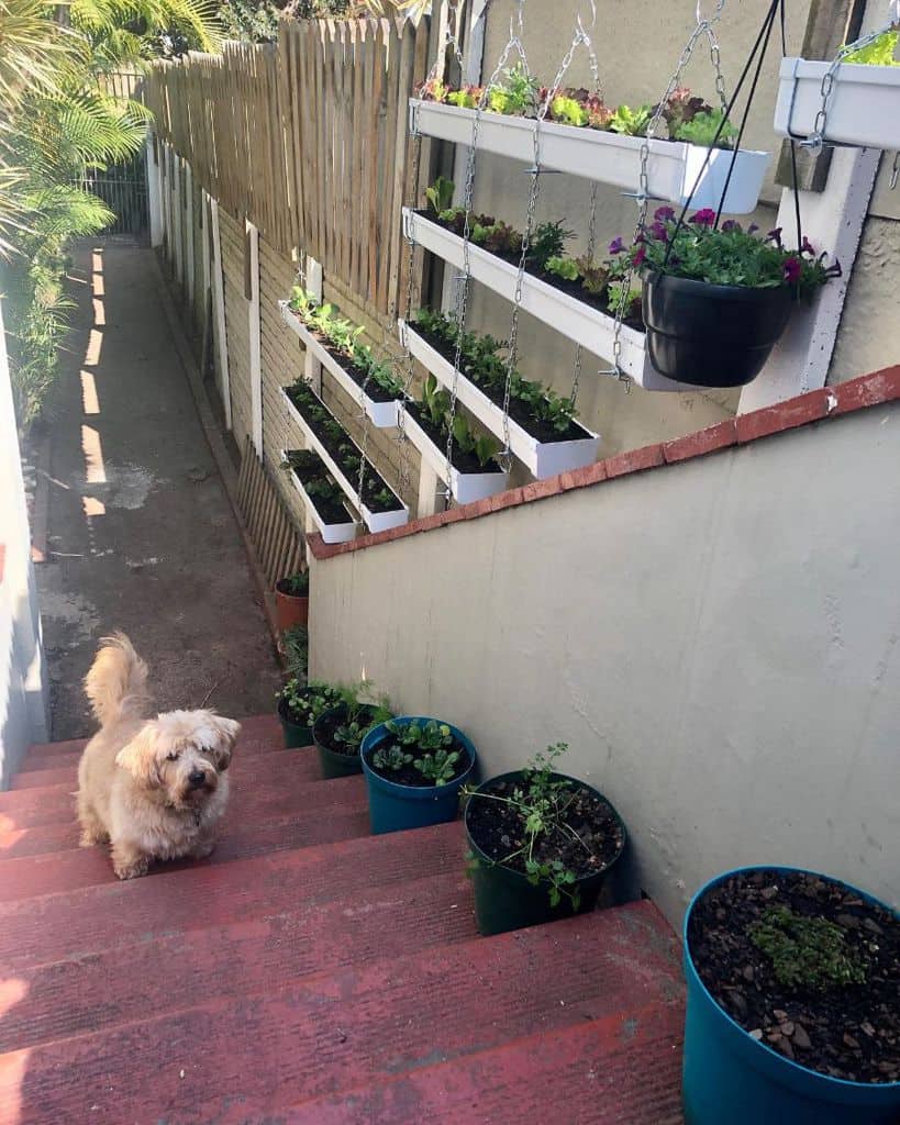 vertical white hanging planter garden