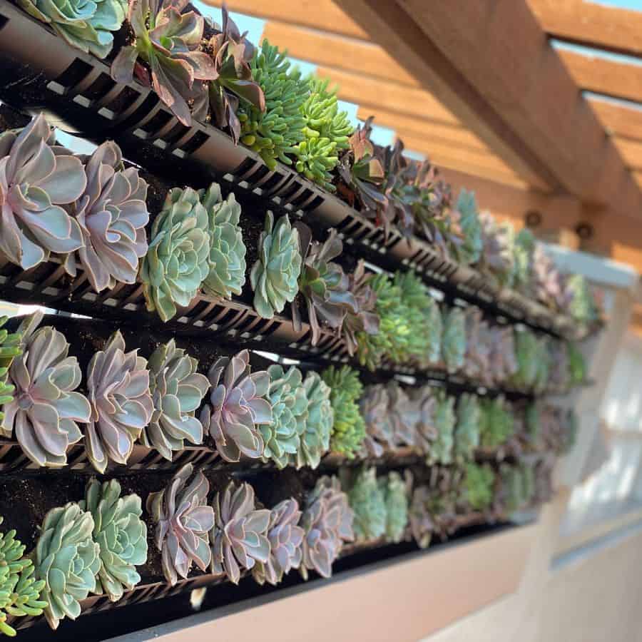 vertical planter garden