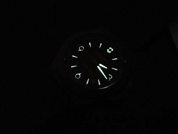 Victorinox Inox Watch Illumination Review