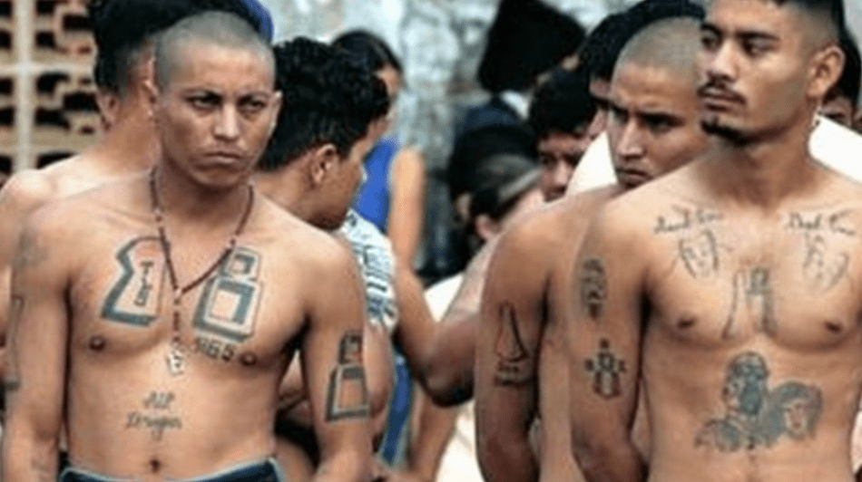 violent-gangs