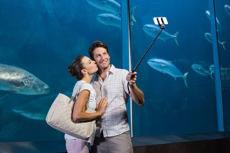 visit an aquarium rainy day date ideas
