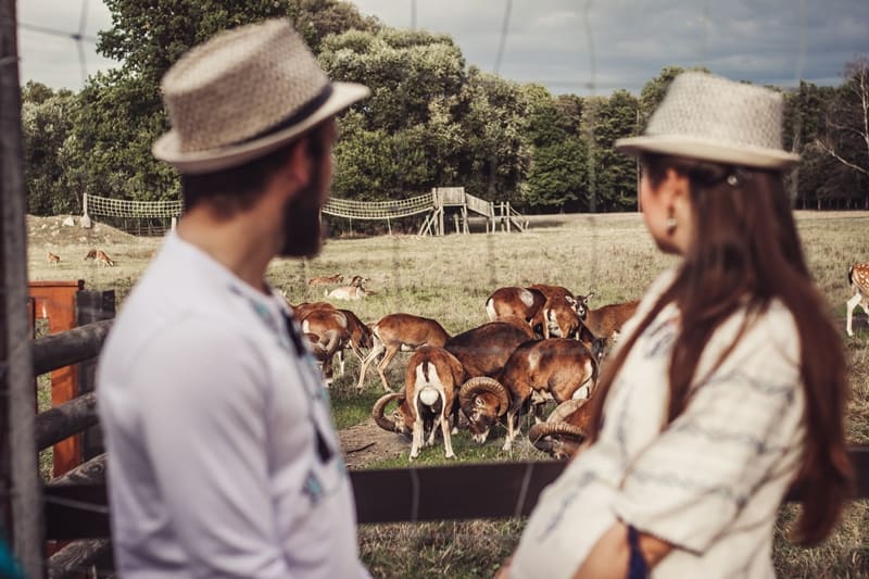 visit the zoo rainy day date ideas