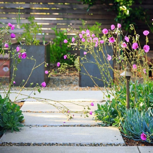Walkway Contemporary Stepping Stone Lanscape Ideas