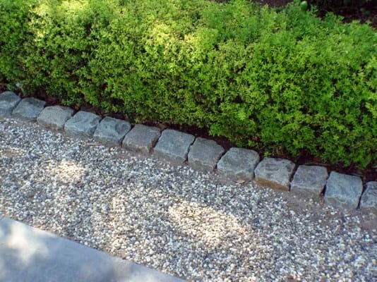 A gravel walkway bordered with square stone edging, next to a lush green hedge, creating a neat and inviting landscape