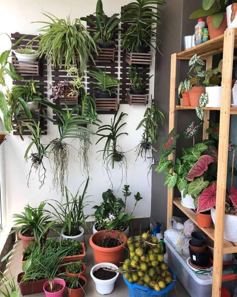 Wall-mounted balcony garden with potted plants and a wooden shelf for greenery.