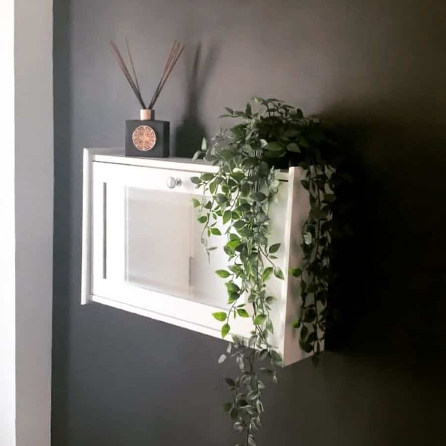 White wall-mounted cabinet with green trailing plant and black diffuser.