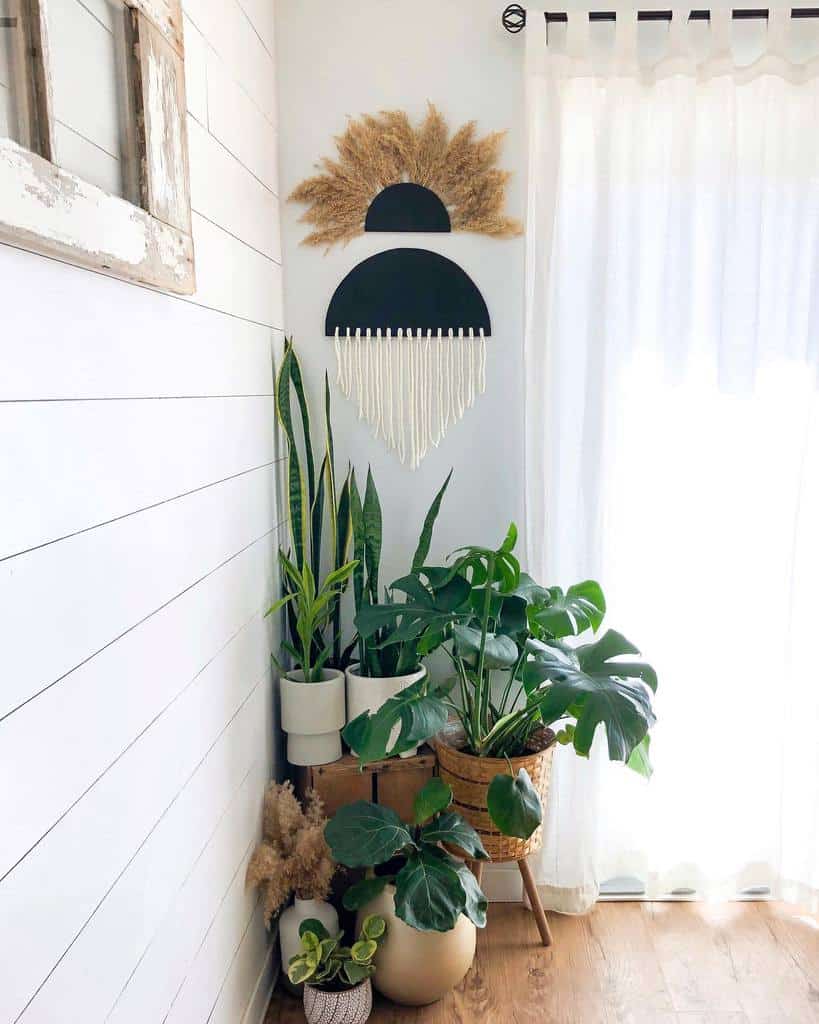 corner living room pot plants