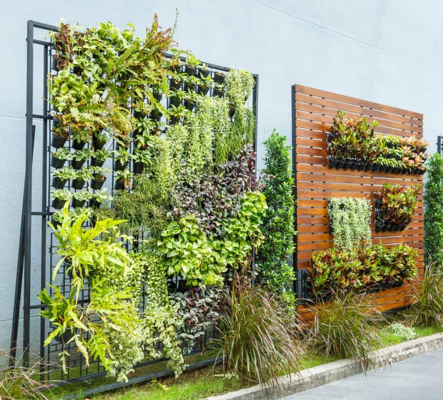 vertical green wall garden