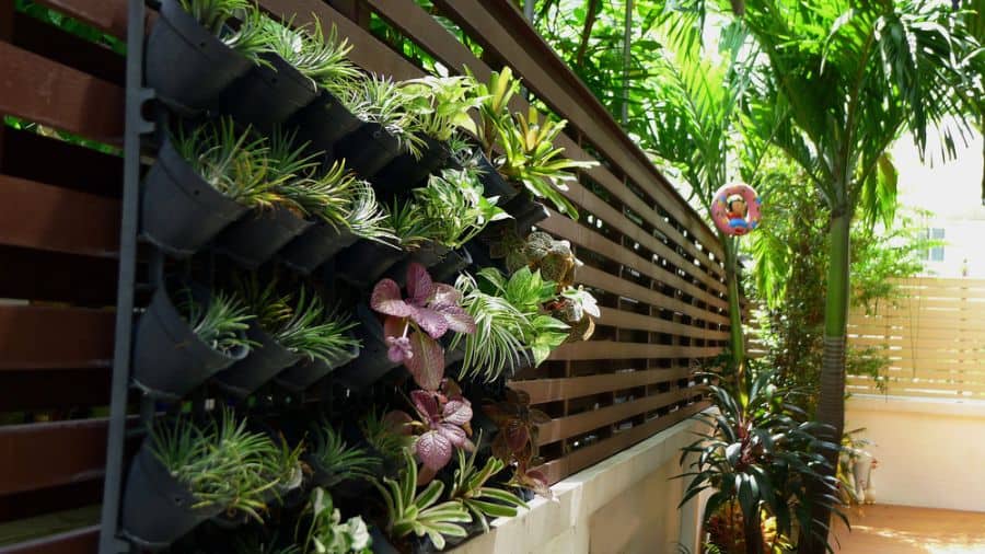 vertical pot plant garden on brown fence