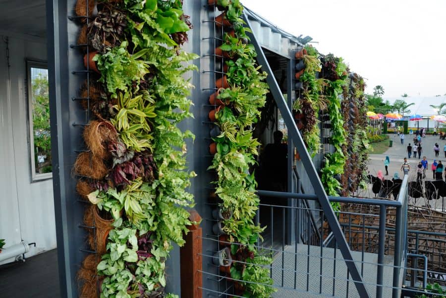 wall ideas for vertical garden