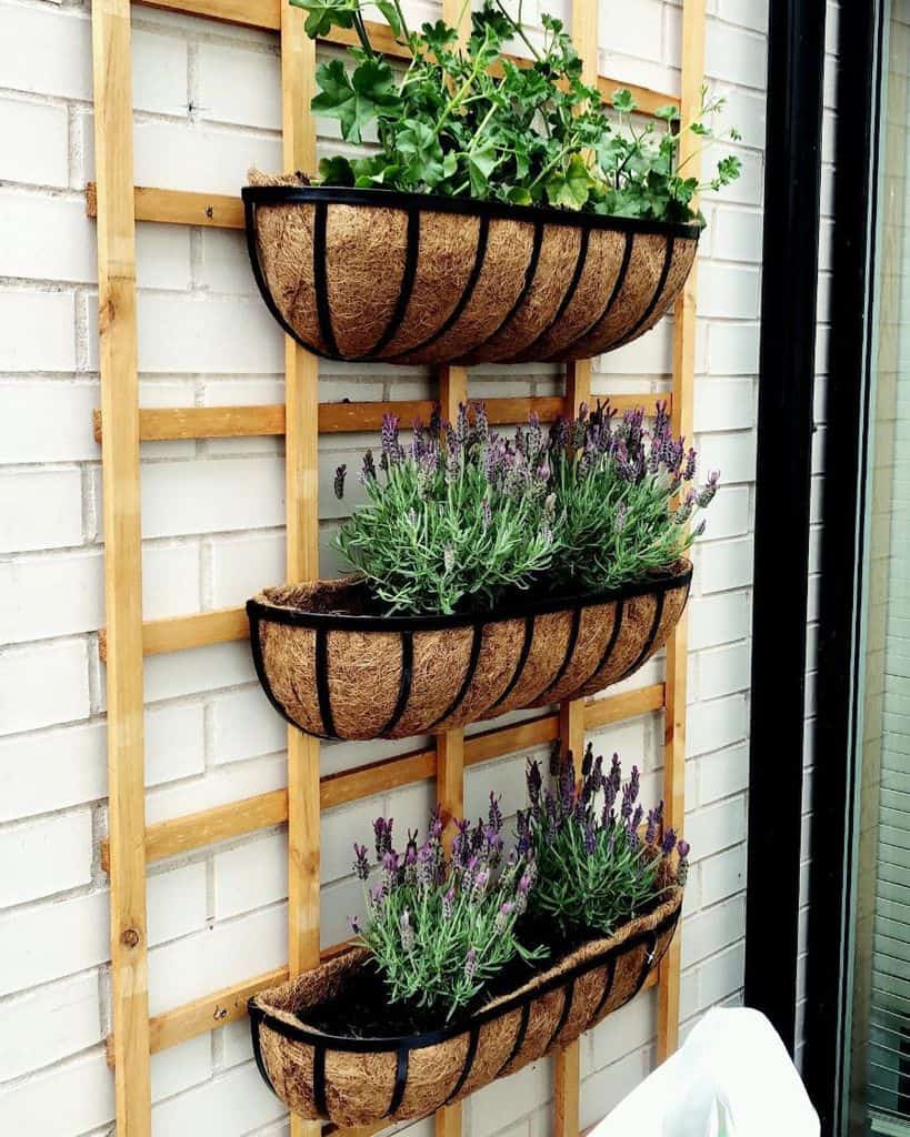 wall vertical garden
