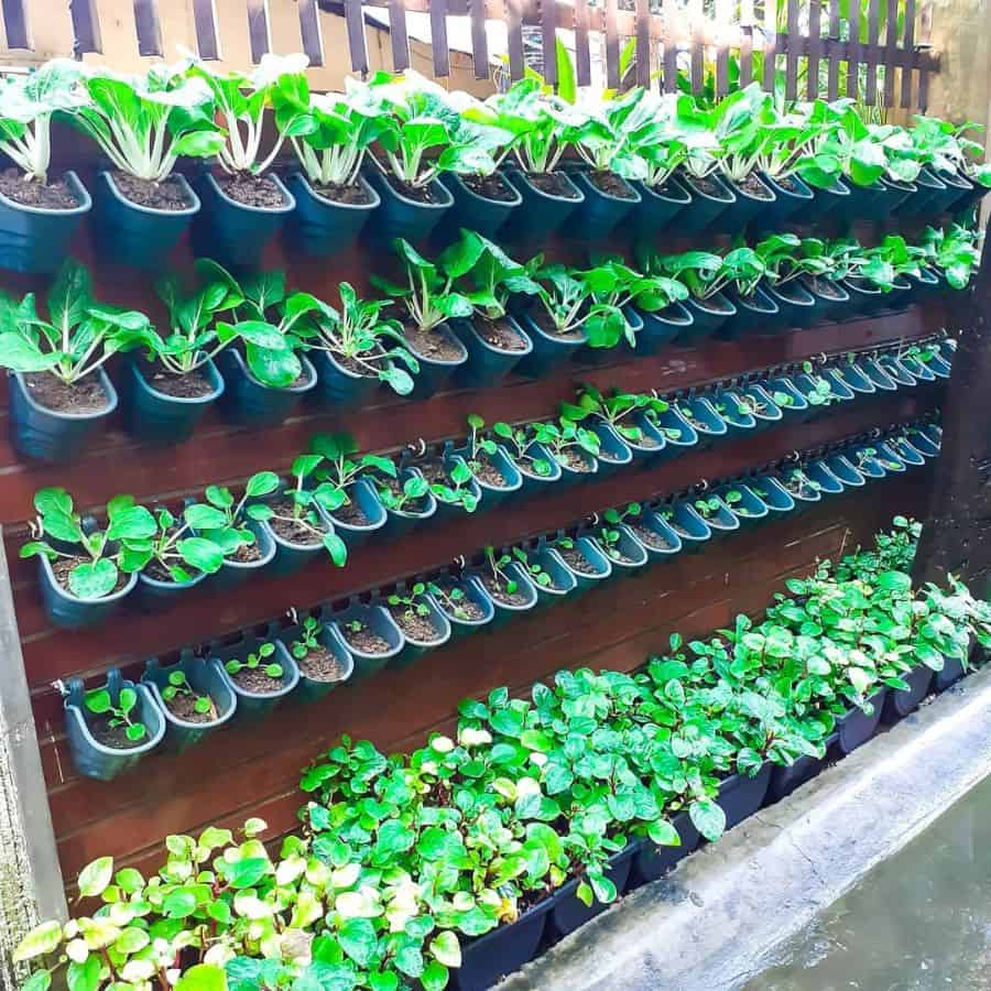 pot plant vertical wall garden
