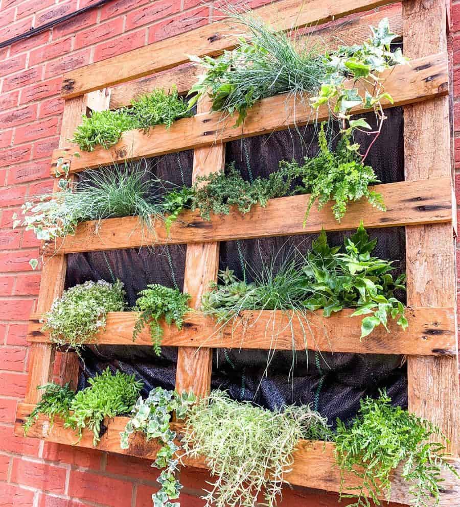 vertical wall pallet garden 