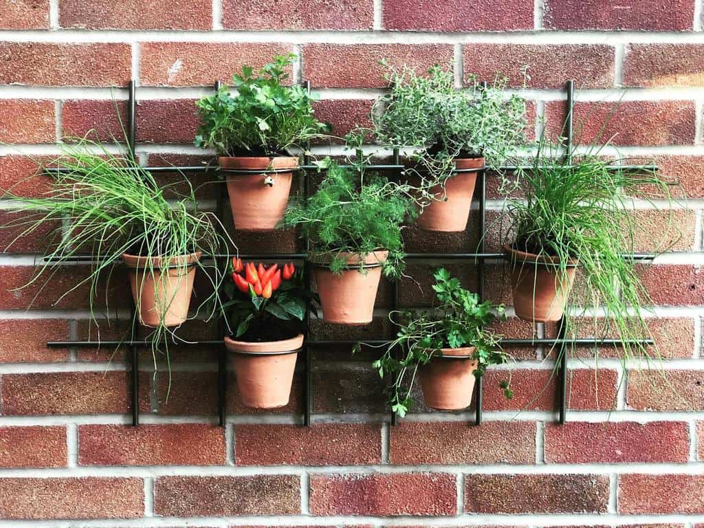 pot plant wall planter herb garden