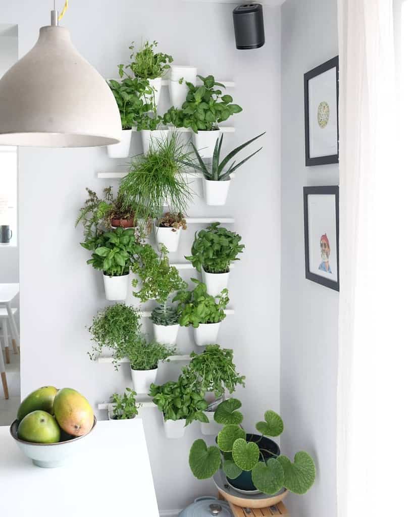 indoor wall planter herb garden