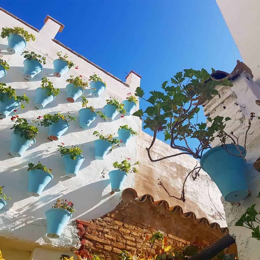 blue pot plants wall vertical garden