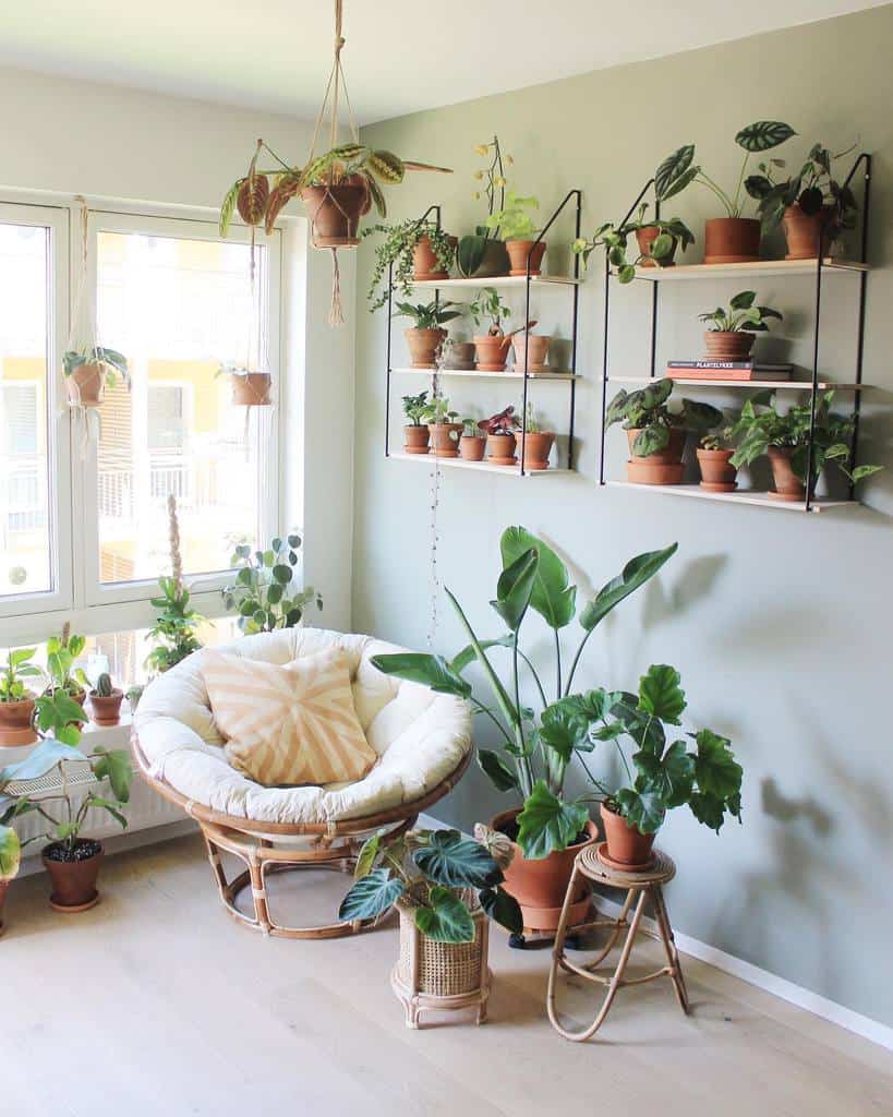 wall shelf and wall planter indoor garden terracotta pots