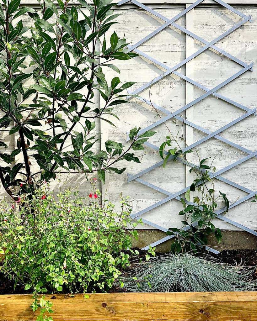 gray lattice wall trellis