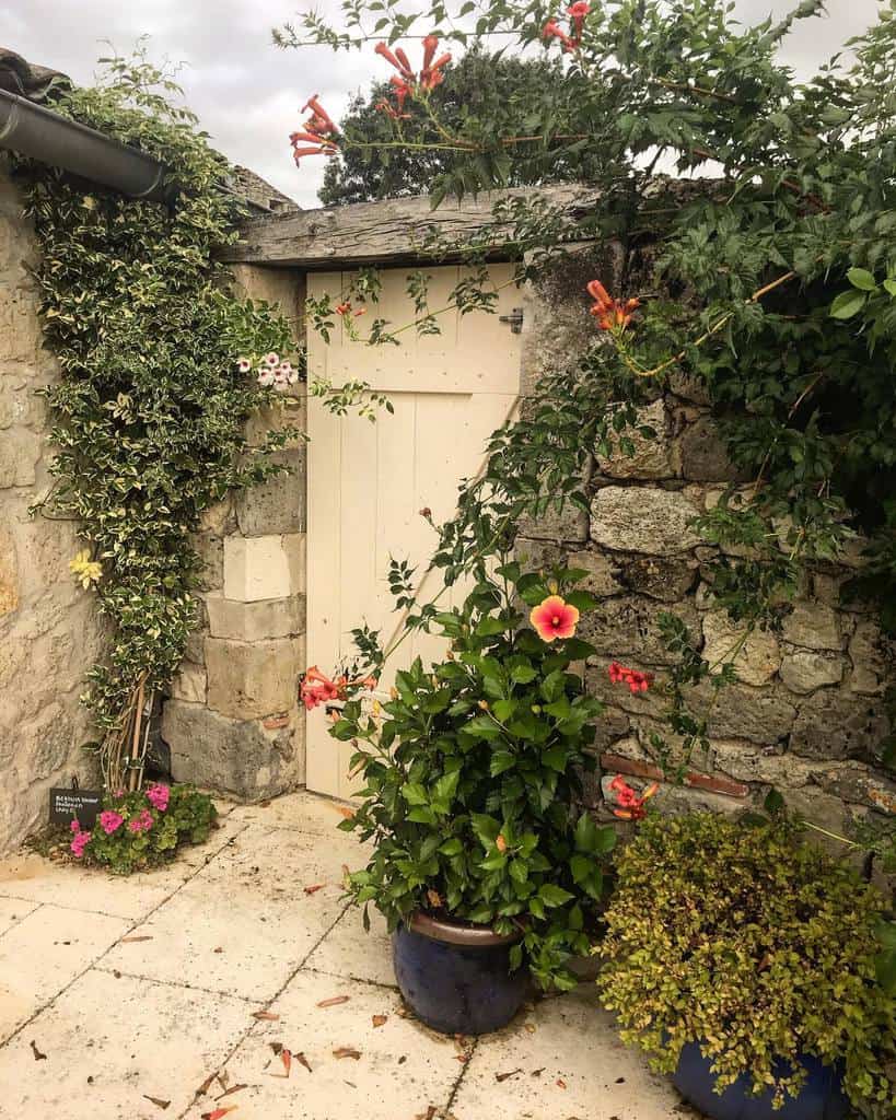 walled white garden gate viney plants