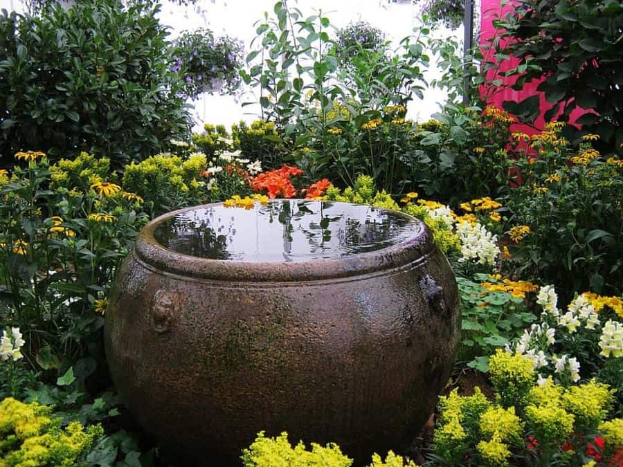 garden water feature yellow and white flowers