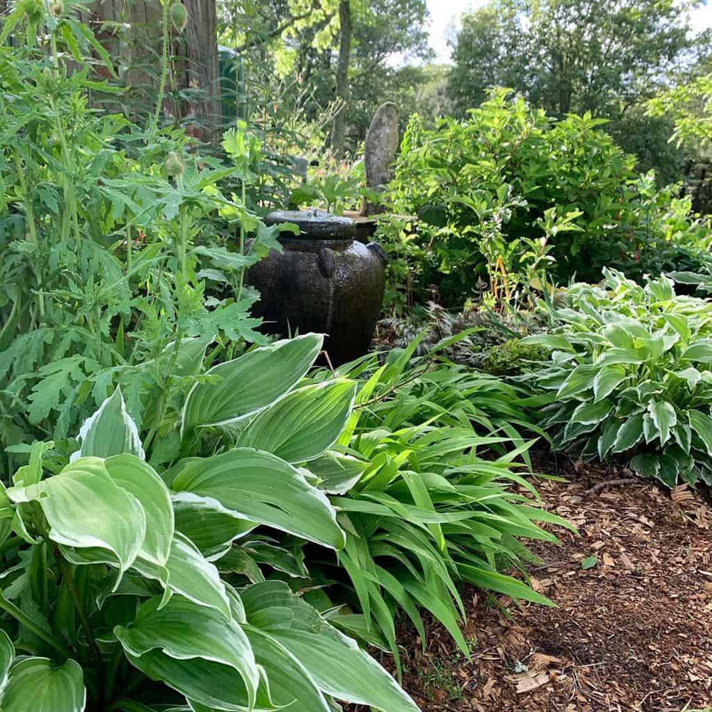 water feature shade garden