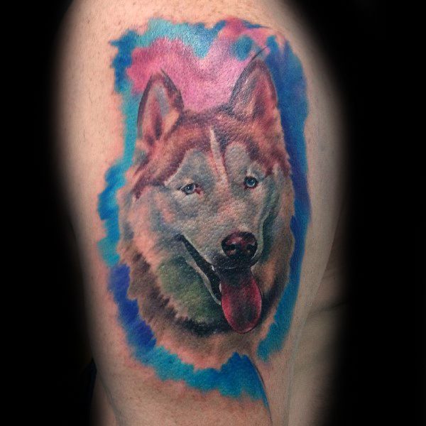 Colorful Siberian Husky tattoo on a man's upper arm, featuring a realistic portrait with a vibrant blue and pink watercolor-style background.