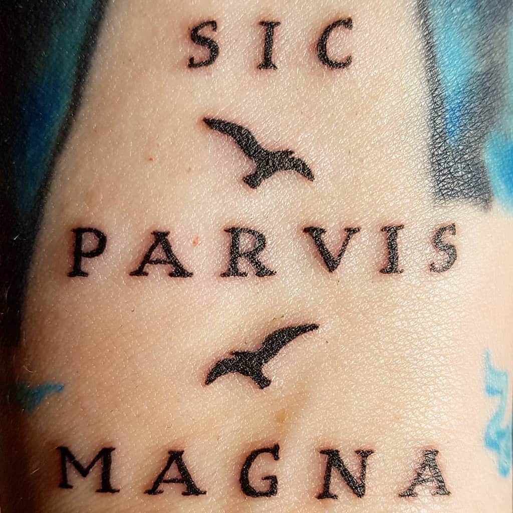 Tattoo: "Sic Parvis Magna" with two birds in black ink