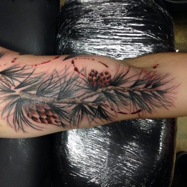 Watercolor Guys Pine Cone Arm Tattoo Designs