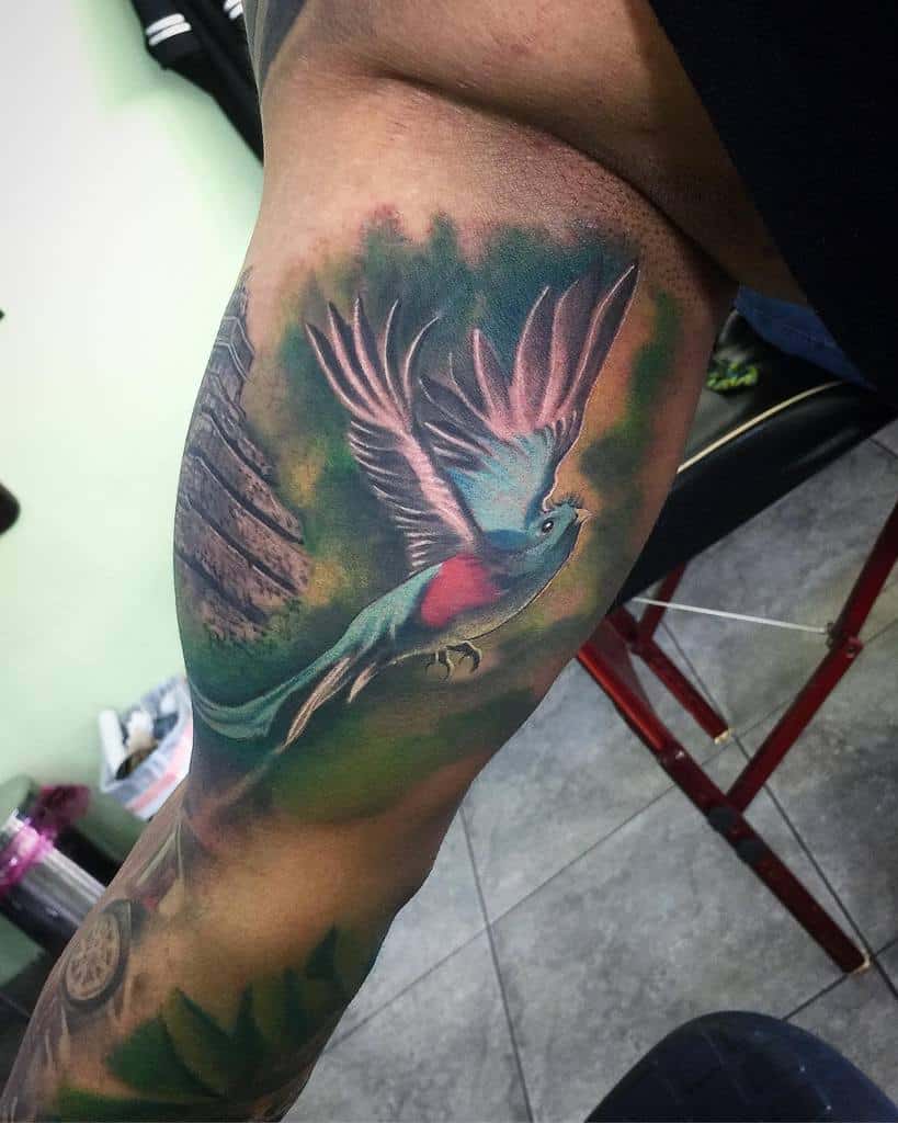 Quetzal parrot tattoo on a person's upper arm, wings spread wide against a green and gray backdrop