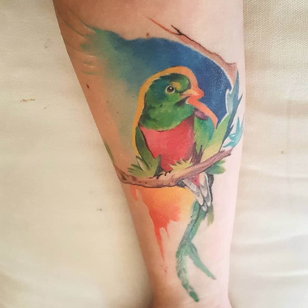 Colorful quetzal tattoo on an arm, featuring vibrant greens, reds, and blues; the bird sits on a branch with a watercolor effect