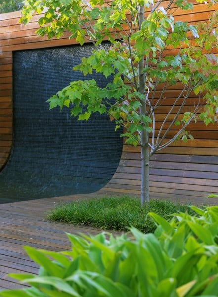 Contemporary curved wall fountain with wooden accents and lush garden greenery.
