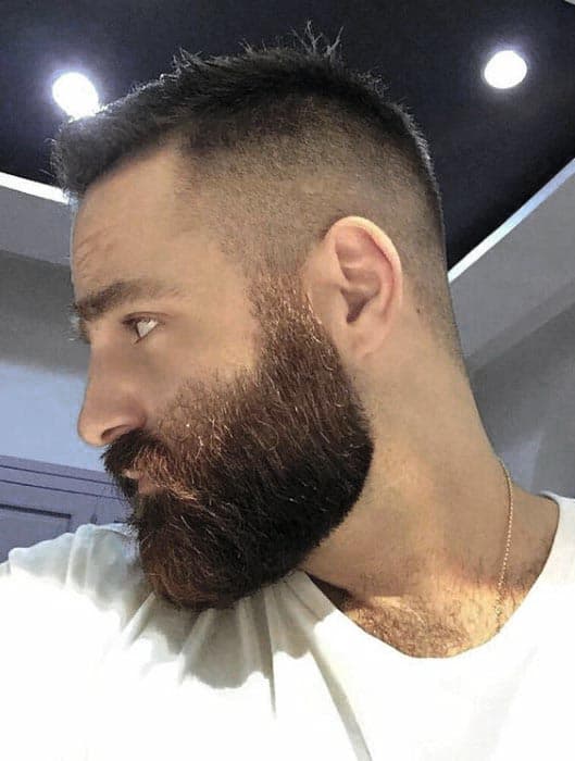 Well Groomed Beard With Short Hair Mens Styles