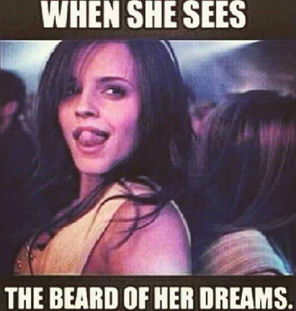 When She Sees The Beard Of Her Dreams Beard Memes