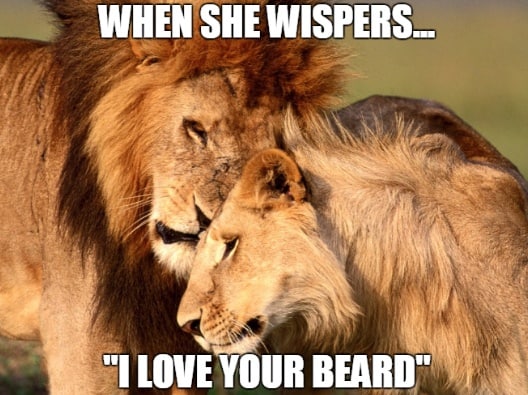 When She Wispers I Love Your Beard Memes