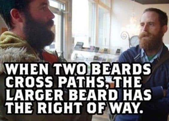 When Two Beards Cross Paths The Larger Beard Has The Right Of Way Meme