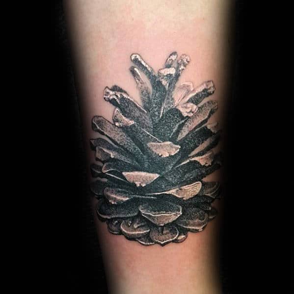 White And Grey Shaded Male 3d Realistic Pine Cone Tattoo On Forearm