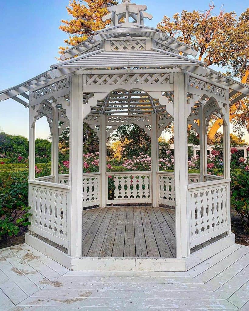 white gazebo wood deck flooring roses