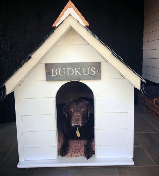 White-painted wooden dog house with a pitched roof, featuring a sign reading "BUDKUS," with a dog resting inside on a soft bed