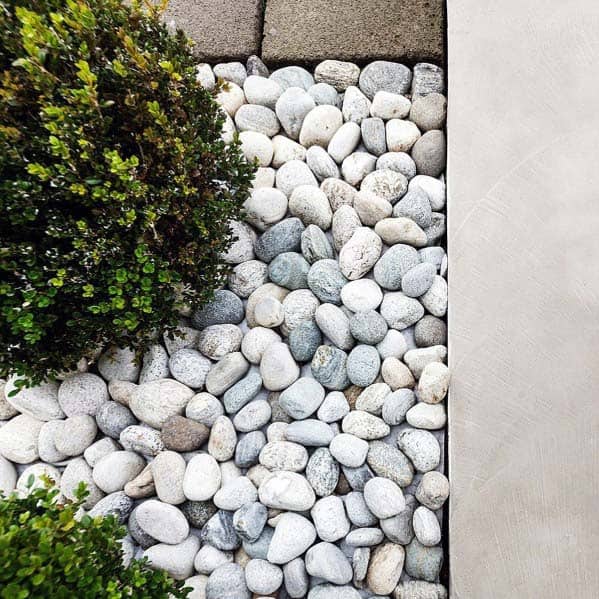 Neat landscaping with white river rocks surrounding small boxwood plants, framed by sleek paving stones for a modern touch